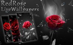 3D wahre Liebe rote Rose Thema Bild 1