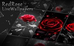 3D wahre Liebe rote Rose Thema Bild 