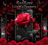 3D wahre Liebe rote Rose Thema Bild 6