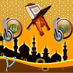 Audio quran sin Internet captura de pantalla apk 5