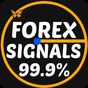 Forex Signals