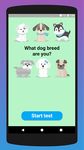 ¿Qué raza de perro eres? Prueba captura de pantalla apk 