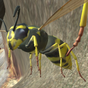 Icono de Wasp Nest Simulator - Insect and 3d animal game