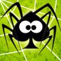 Icône de Spider Solitaire (Web rules)