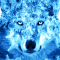 Plano de Fundo Animado Lobo de Gelo APK