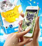 Cute kitty live wallpaper screenshot apk 11