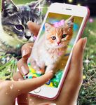 Cute kitty live wallpaper screenshot apk 