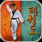Biểu tượng Taekwondo Pro