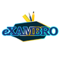 Ikon Exambro