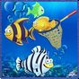 Fishing Color Sea apk icon