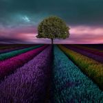 Captură de ecran j2,j3 samsung wallpapers HD apk 4