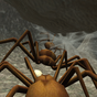 ไอคอนของ Spider Nest Simulator - insect and 3d animal game