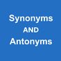 Dictionary Synonyms & Antonyms