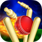 RunOut - Indian T20 Cricket Live Games 2018 3D APK