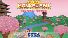 Captura de tela do apk Super Monkey Ball: Sakura Edition 14