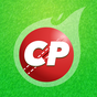 CricPlay - Free Fantasy Cricket. Win Paytm Cash. apk icon