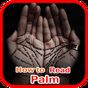 Ikona apk How to Read Palms