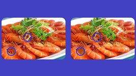 차이점찾기게임 - 맛있는 식품 사진들300 레벨 HD의 스크린샷 apk 17