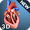 Heart Anatomy Pro. 