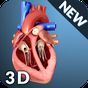 Иконка Heart Anatomy Pro.