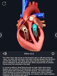 Скриншот 3 APK-версии Heart Anatomy Pro.