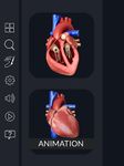 Скриншот 4 APK-версии Heart Anatomy Pro.