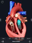Скриншот 1 APK-версии Heart Anatomy Pro.