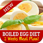 Best Boiled Egg Diet Plan APK