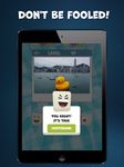 Fake Or Real Funny Picture Quiz - Free Trivia Game capture d'écran apk 2