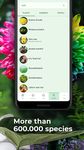 Captura de tela do apk PlantSnap - identifica plantas, flores, árvores... 12