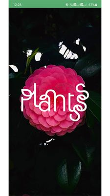 Image 3 of Plantsss