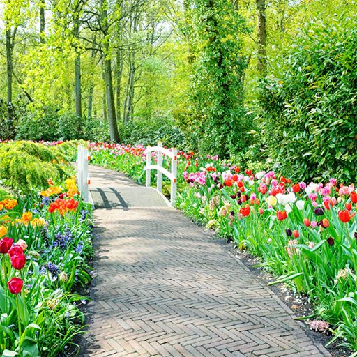 Tận hưởng mùa xuân tươi vui sôi động cùng hình nền khu vườn mùa xuân tuyệt đẹp. Nơi đây chứa đầy sức sống, ánh nắng và những bông hoa đang nở rộ. Những gam màu tươi sáng và hài hoà sẽ khiến bạn cảm thấy sảng khoái, lạc quan hơn về cuộc sống. Điều đó sẽ giúp bạn tìm thấy động lực để chuẩn bị đón chào một ngày tuyệt vời.