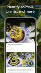 Google Lens ekran görüntüsü APK 4