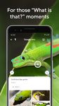 Tangkapan layar apk Google Lens 