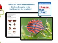 NABU Insektenwelt - Insekten Entdecken & Bestimmen imgesi 13