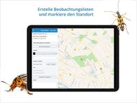 NABU Insektenwelt - Insekten Entdecken & Bestimmen Bild 15