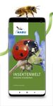 NABU Insektenwelt - Insekten Entdecken & Bestimmen imgesi 6