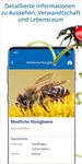 NABU Insektenwelt - Insekten Entdecken & Bestimmen Bild 3