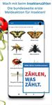 NABU Insektenwelt - Insekten Entdecken & Bestimmen Bild 2