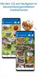 NABU Insektenwelt - Insekten Entdecken & Bestimmen Bild 1