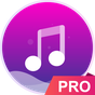 Ikon Music player - pro version