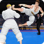 Royal Karate Training Kings: Kung Fu Fighting 2018 APK