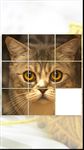Imagem 10 do Jogos de Gatos e Gatas fofos