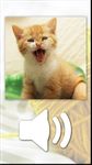 Imagem 4 do Jogos de Gatos e Gatas fofos