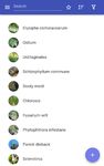 Immagine 9 di Plant diseases
