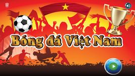 Liên đoàn Việt Nam ảnh số 16