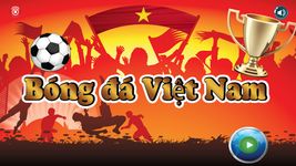 Liên đoàn Việt Nam ảnh số 8