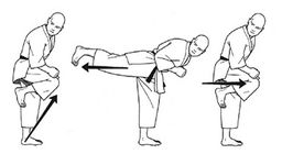 apprendre le kung fu image 6