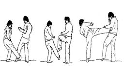 Imagem 5 do aprenda kung fu