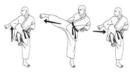 apprendre le kung fu image 4